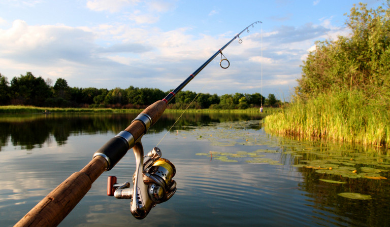 Spinning Rod