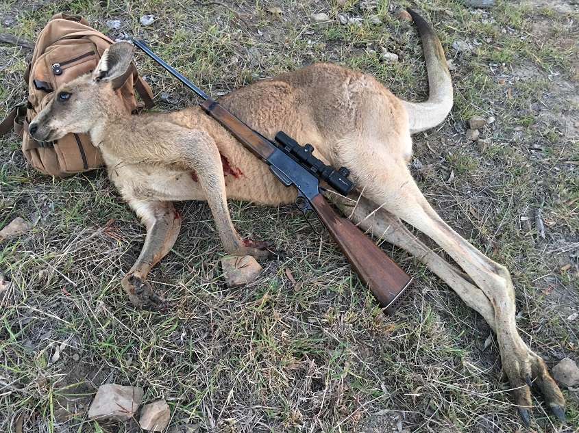Australian Hunting