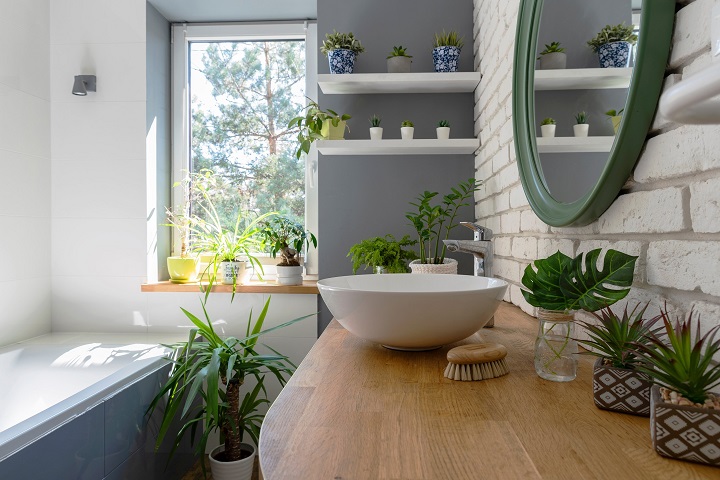 plants-in-the-bathroom 
