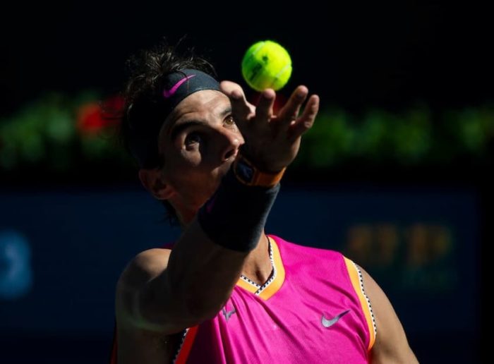 Tennis Ball Buying Guide aLittleBitOfAll