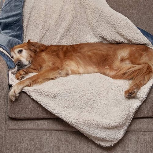 Dog-blanket
