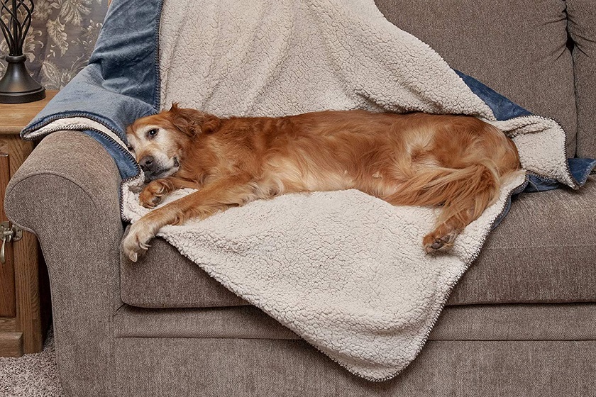 Dog-blanket