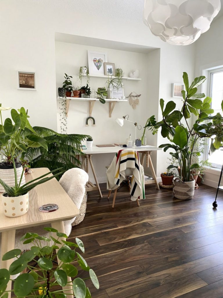 interior decor with indoor plants