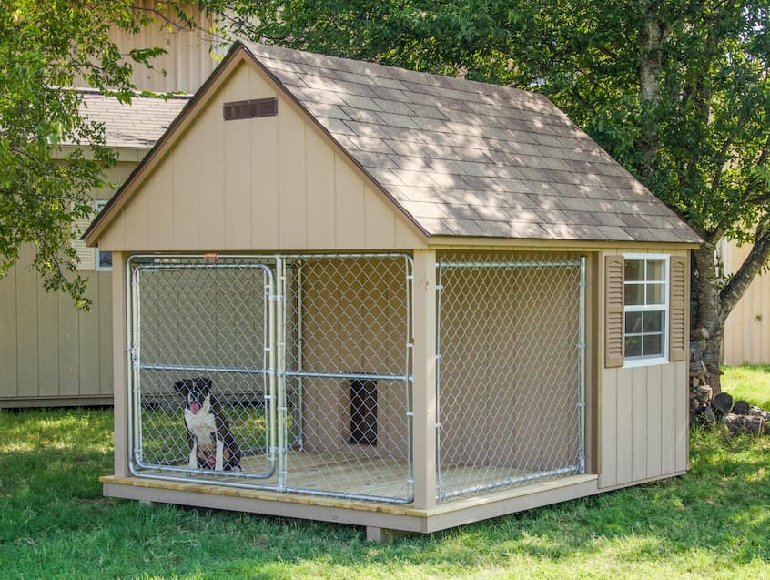Where to Place the Doghouse Outside?