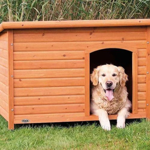 The Best Home for Your Dog: Exploring the Benefits of Dog Houses