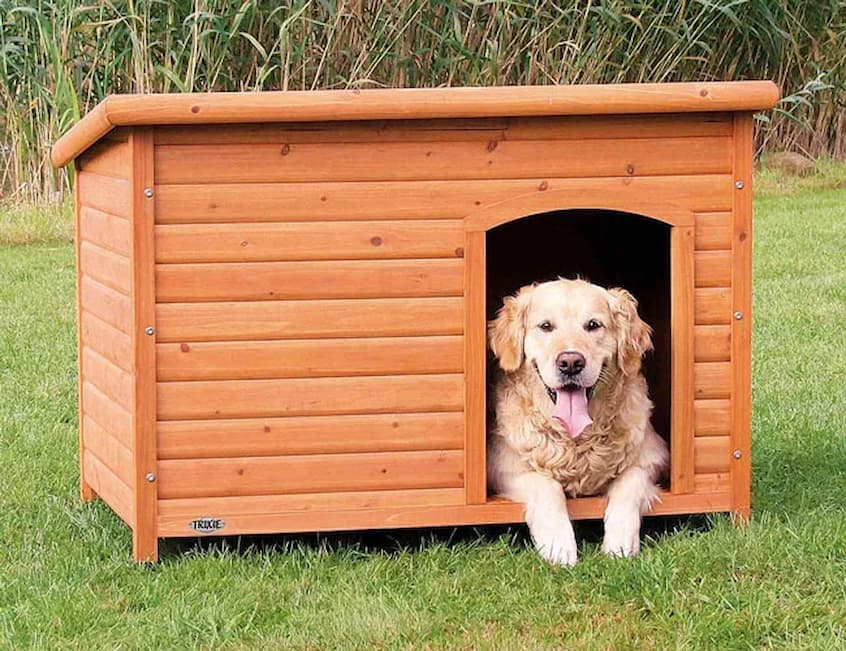 The Best Home for Your Dog: Exploring the Benefits of Dog Houses