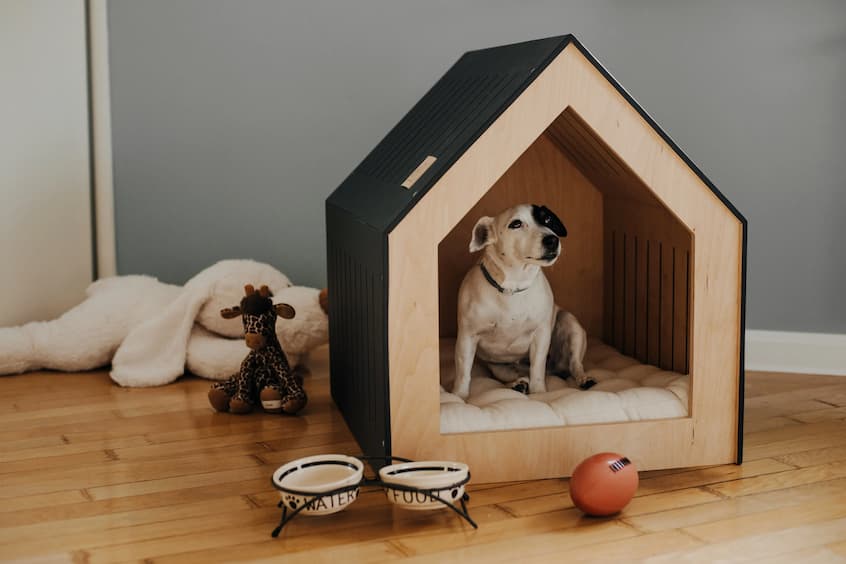 Indoor Pet Dog House