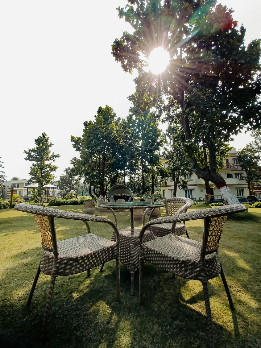 garden chairs and table