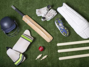 cricket-essentials