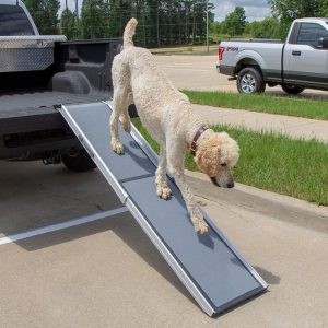 PetSafe Happy Ride Deluxe Telescoping Ramp
